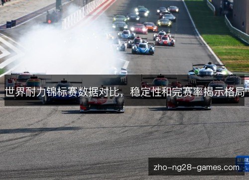 世界耐力锦标赛数据对比，稳定性和完赛率揭示格局
